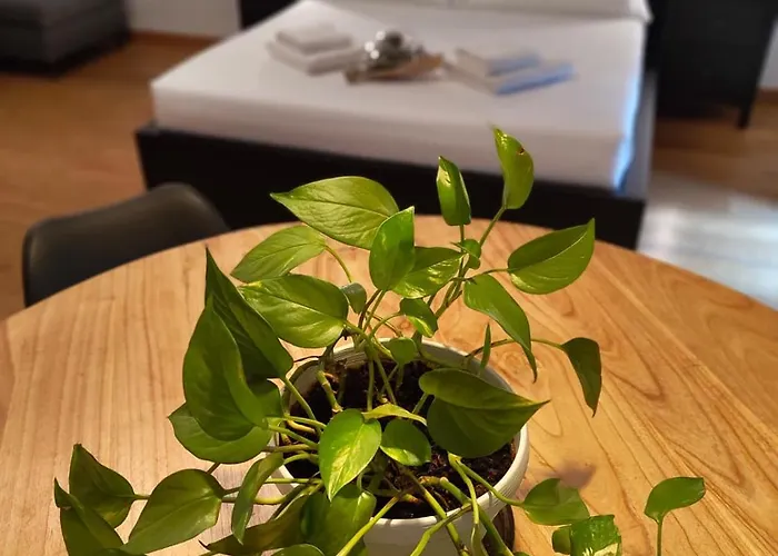 La Marmora 39 4* פירנצה